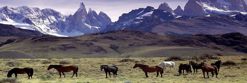 Experience the majesty of the Glaciers in Patagonia, Argentina
