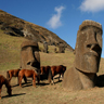 Horse Riding Easter Island